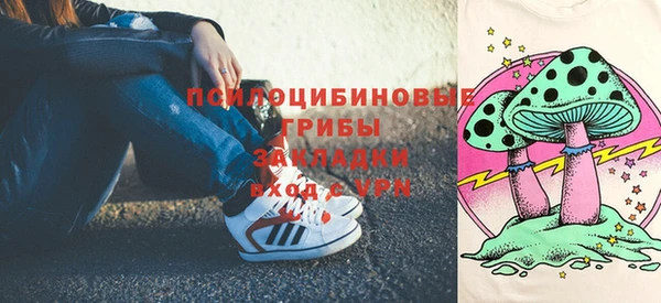ECSTASY Дмитров