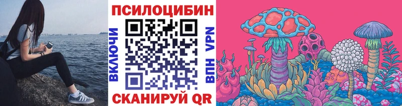 Галлюциногенные грибы мицелий Купить закладки Невьянск